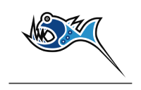timejayHX broadcast time delay - supporto schede Bluefish444