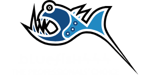capturejayHX broadcast compliance logging - support for Bluefish444 cards